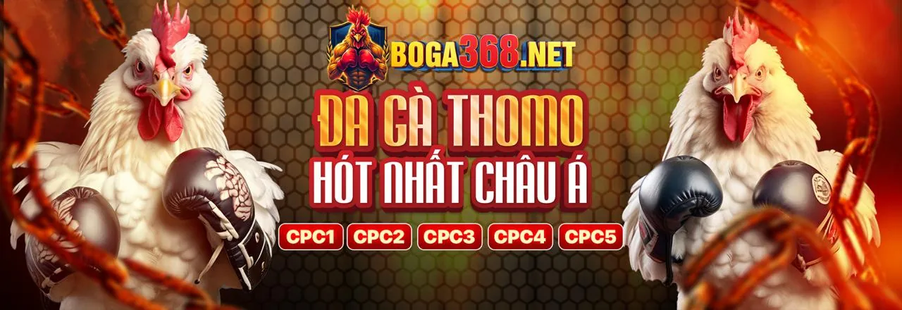 Đá Gà Trực Tuyến hy88 cổng game chính thức 2026